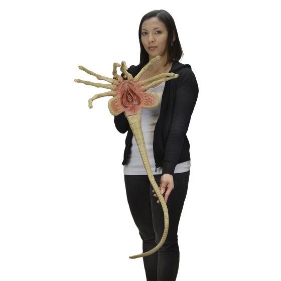 ALIEN - FOAM PROP REPLICA - LIFE-SIZE FACEHUGGER ALIEN - FOAM PROP REPLICA - LIFE-SIZE FACEHUGGER