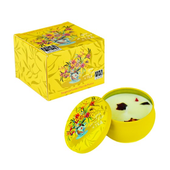BOUGIE PM BOITE INDIVIDUELLE CUP OF TEA (x 12) BOUGIE PM BOITE INDIVIDUELLE CUP OF TEA (x 12)